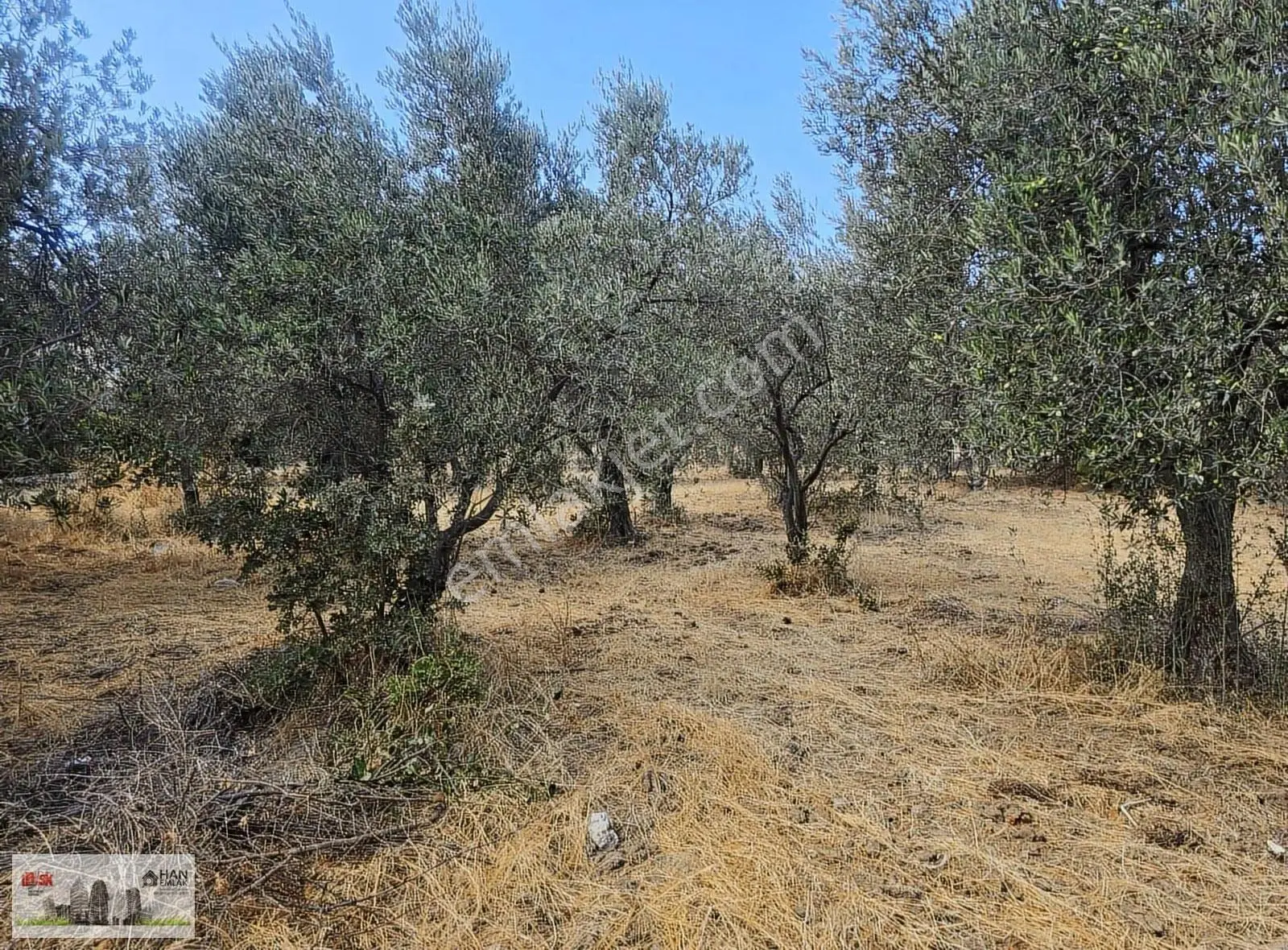 Egenin İncisi Geyikli'de 490 M2 Satılık İmarlı Arsa Han Emlaktan - Görsel 30