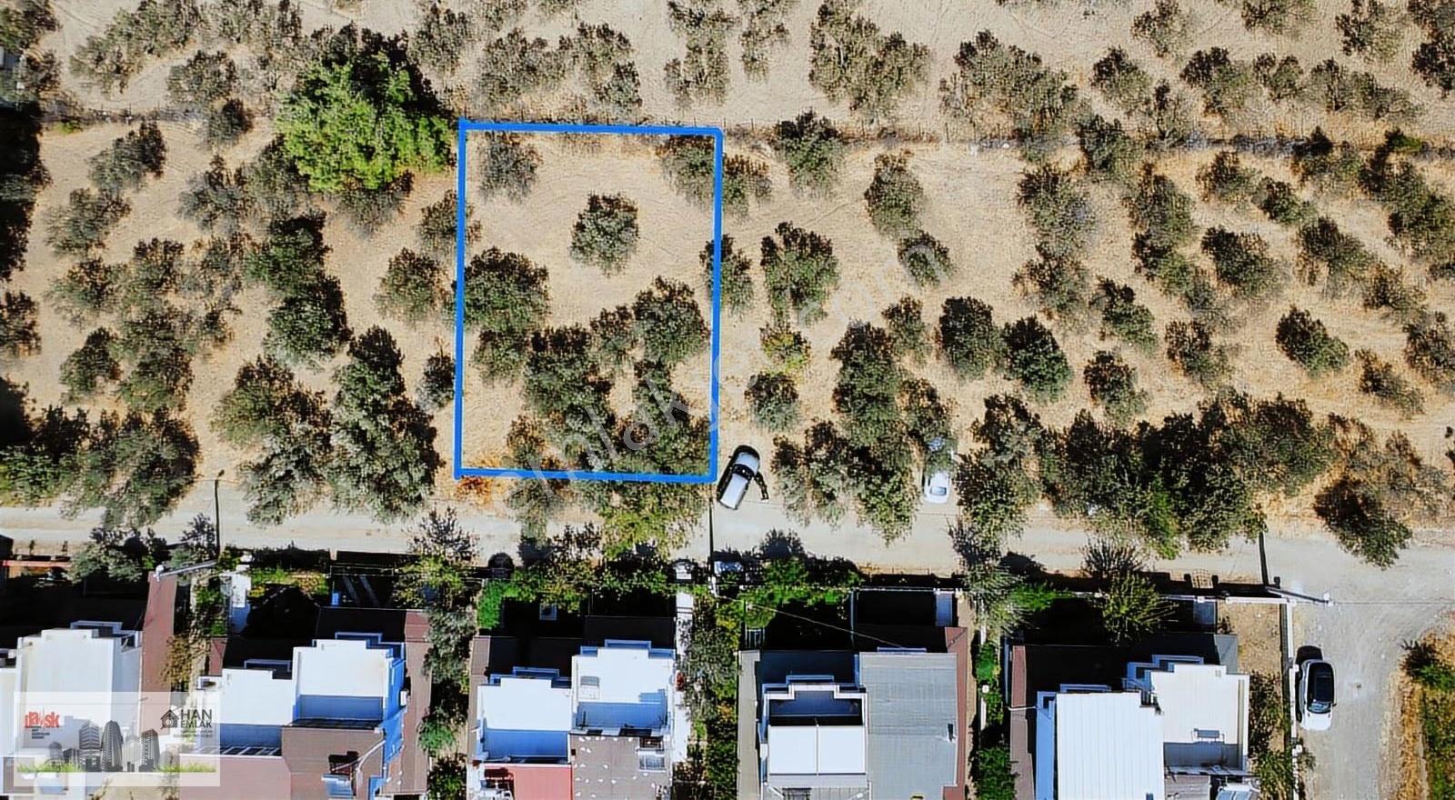 Egenin İncisi Geyikli'de 490 M2 Satılık İmarlı Arsa Han Emlaktan - Görsel 8