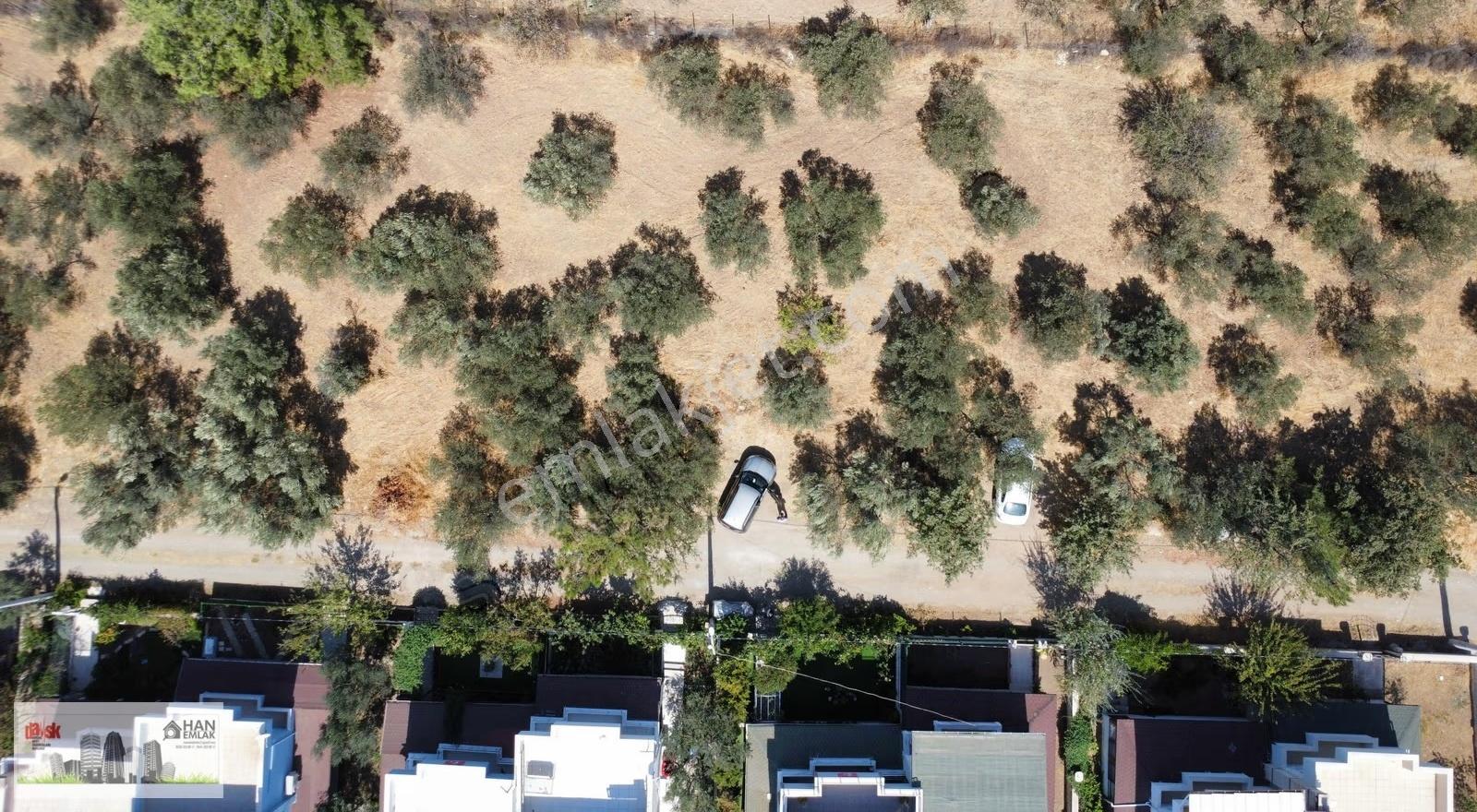 Egenin İncisi Geyikli'de 490 M2 Satılık İmarlı Arsa Han Emlaktan - Görsel 9