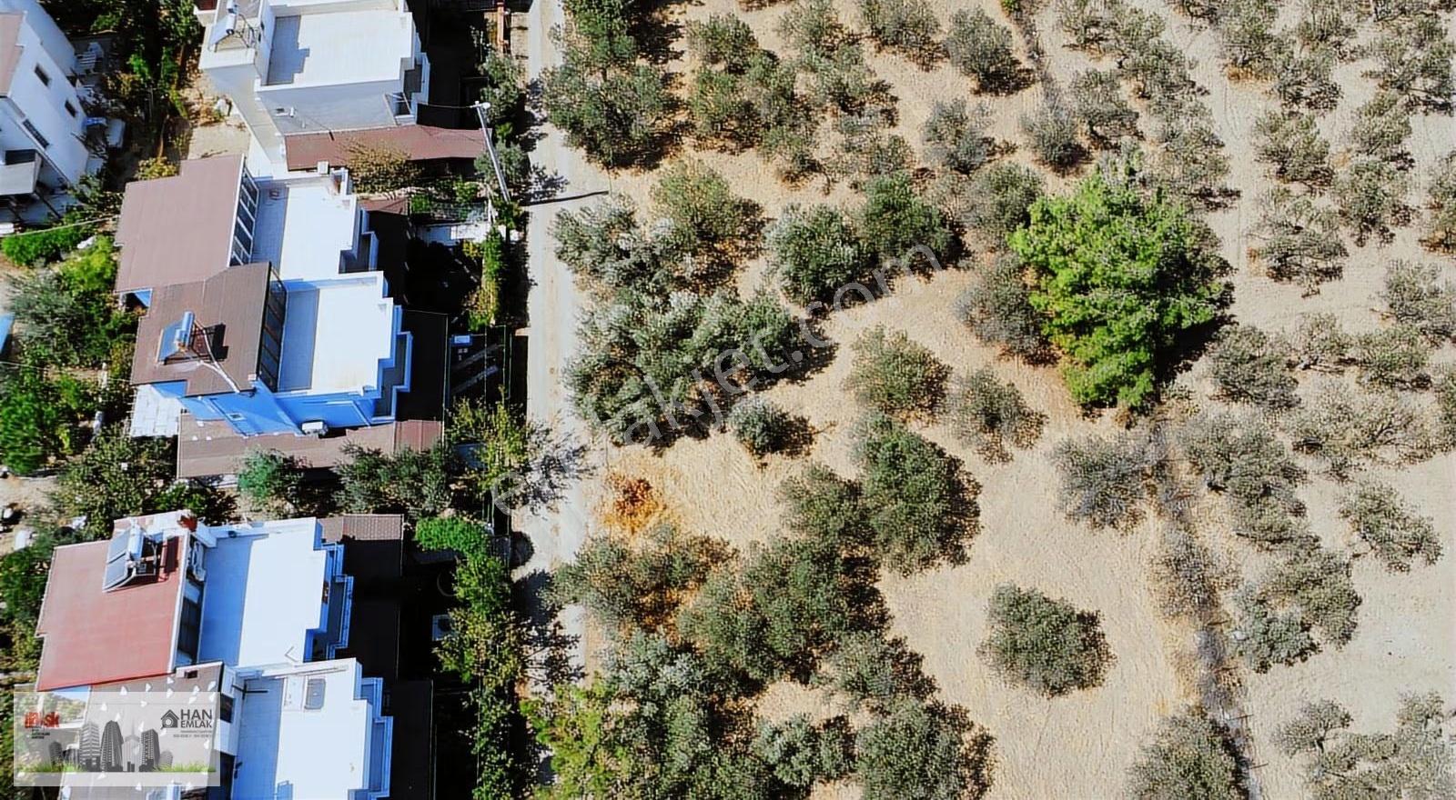 Egenin İncisi Geyikli'de 490 M2 Satılık İmarlı Arsa Han Emlaktan - Görsel 17