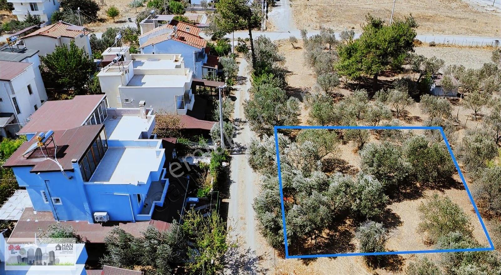 Egenin İncisi Geyikli'de 490 M2 Satılık İmarlı Arsa Han Emlaktan - Görsel 4