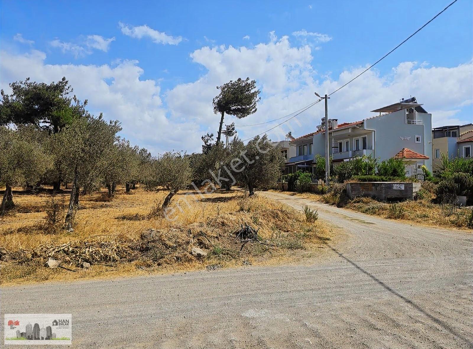 Egenin İncisi Geyikli'de 490 M2 Satılık İmarlı Arsa Han Emlaktan - Görsel 13