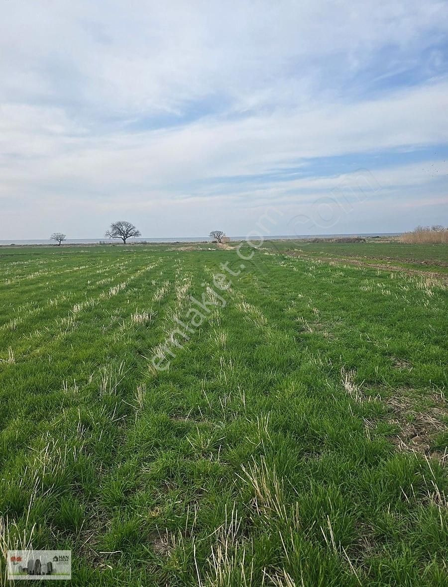 Ayvacık Kösederede Denize 170 Metre Uzaklıkta 2650 M2 Tarla - Görsel 12