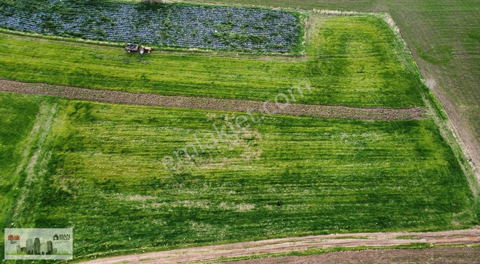 Ayvacık Kösederede Denize 170 Metre Uzaklıkta 2650 M2 Tarla