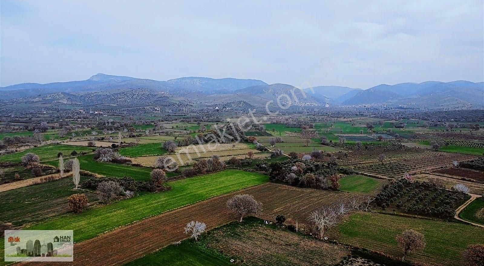 Ayvacık Kösederede Denize 170 Metre Uzaklıkta 2650 M2 Tarla - Görsel 10