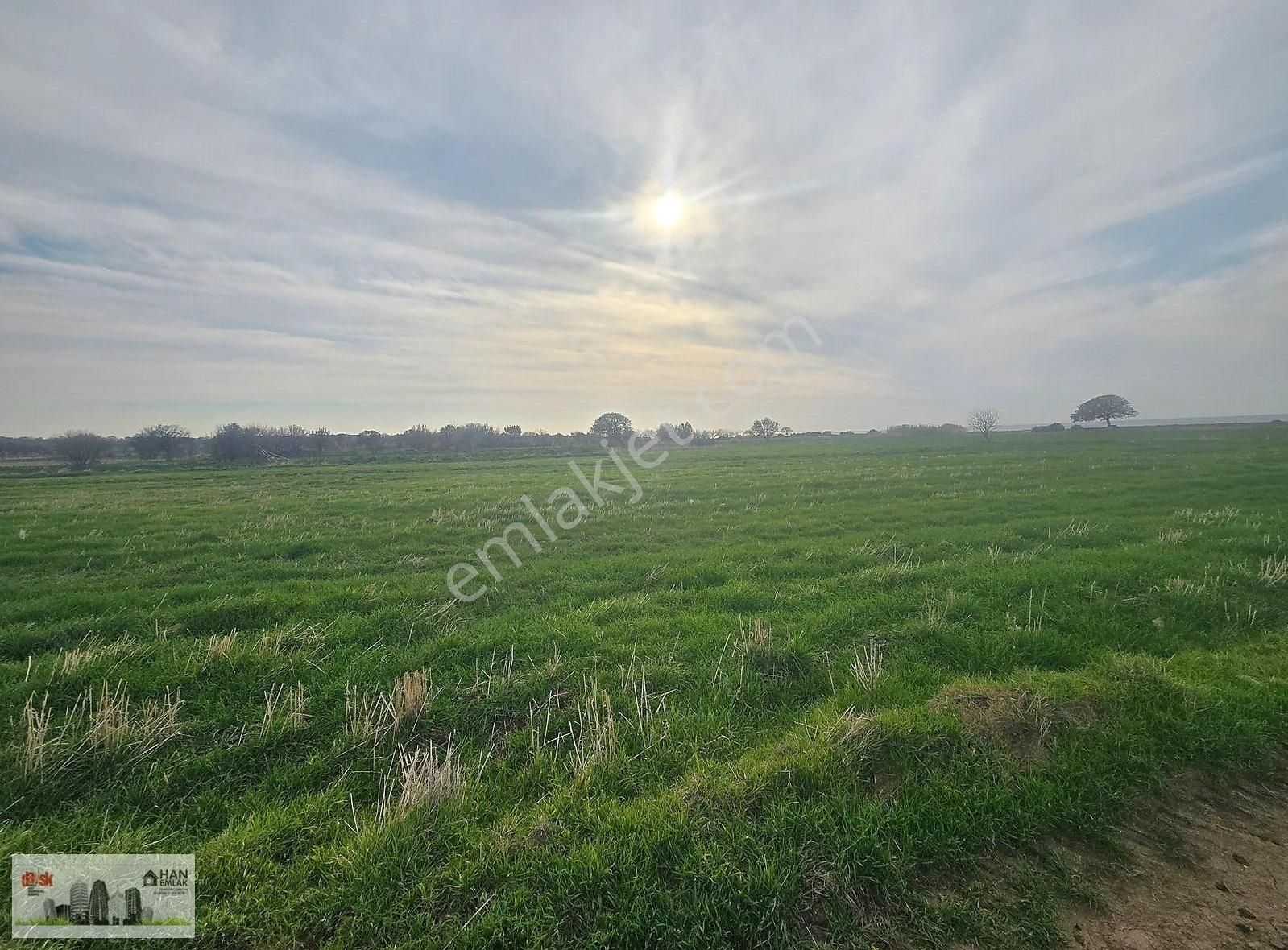 Ayvacık Kösederede Denize 170 Metre Uzaklıkta 2650 M2 Tarla - Görsel 8