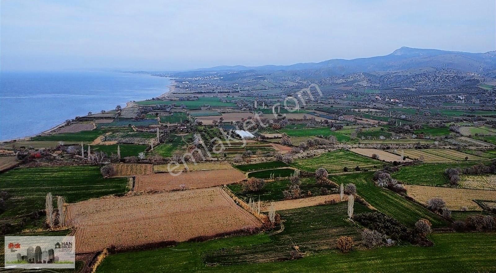 Ayvacık Kösederede Denize 170 Metre Uzaklıkta 2650 M2 Tarla - Görsel 6