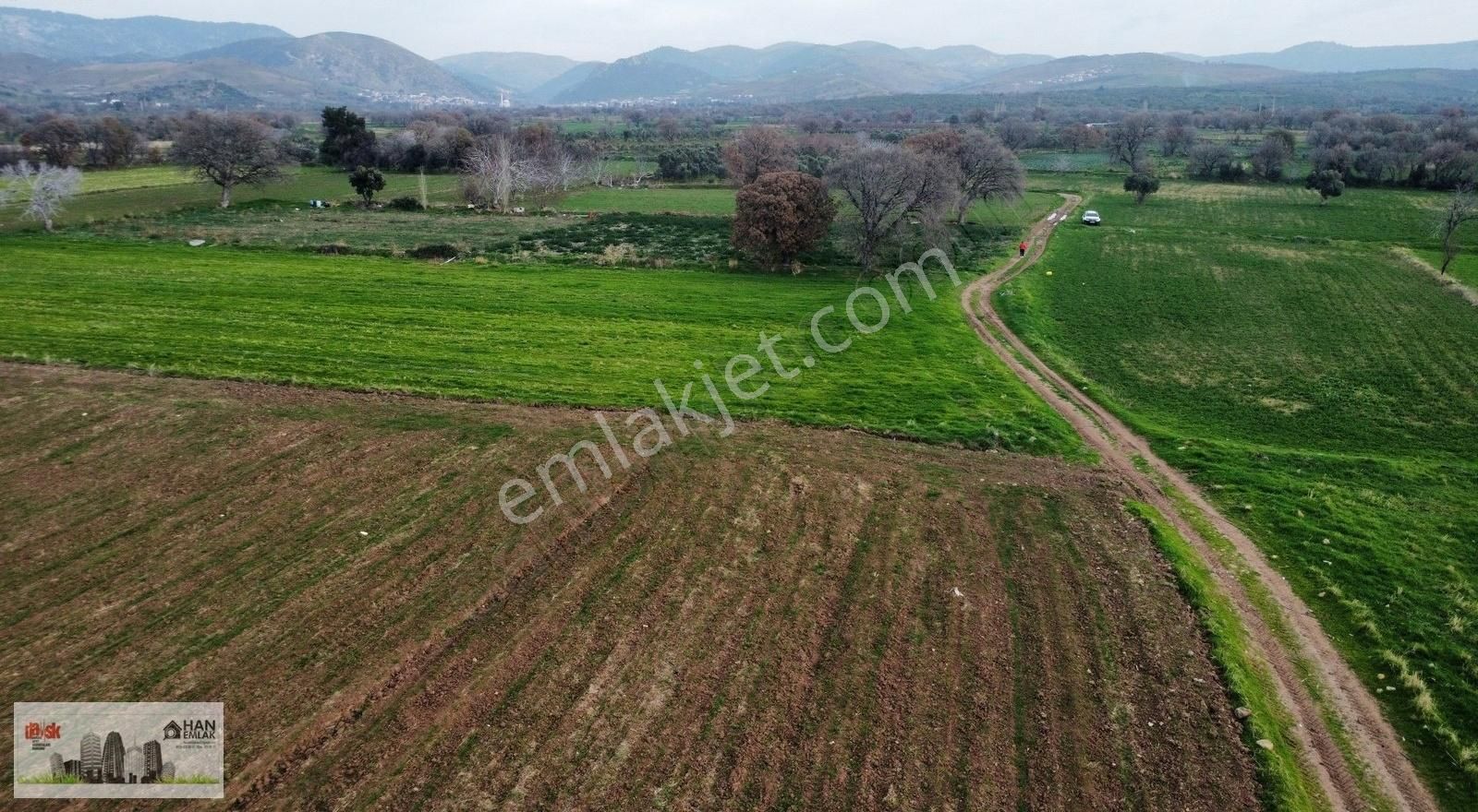 Ayvacık Kösederede Denize 170 Metre Uzaklıkta 2650 M2 Tarla - Görsel 2