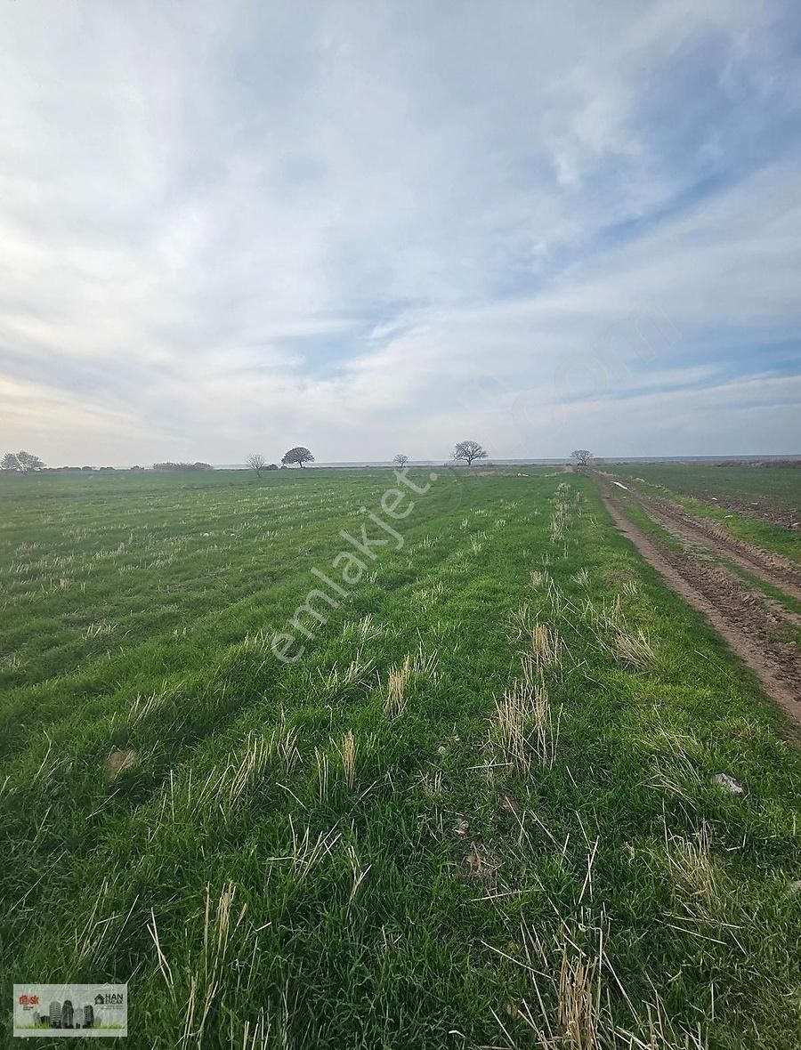 Ayvacık Kösederede Denize 170 Metre Uzaklıkta 2650 M2 Tarla - Görsel 17