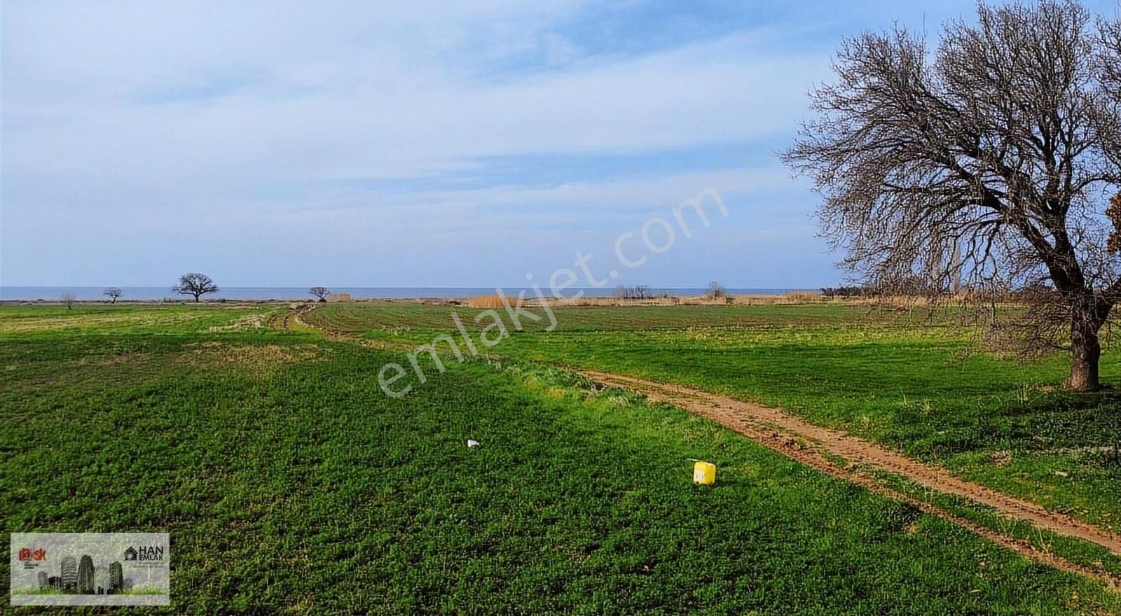 Ayvacık Kösederede Denize 170 Metre Uzaklıkta 2650 M2 Tarla - Görsel 19