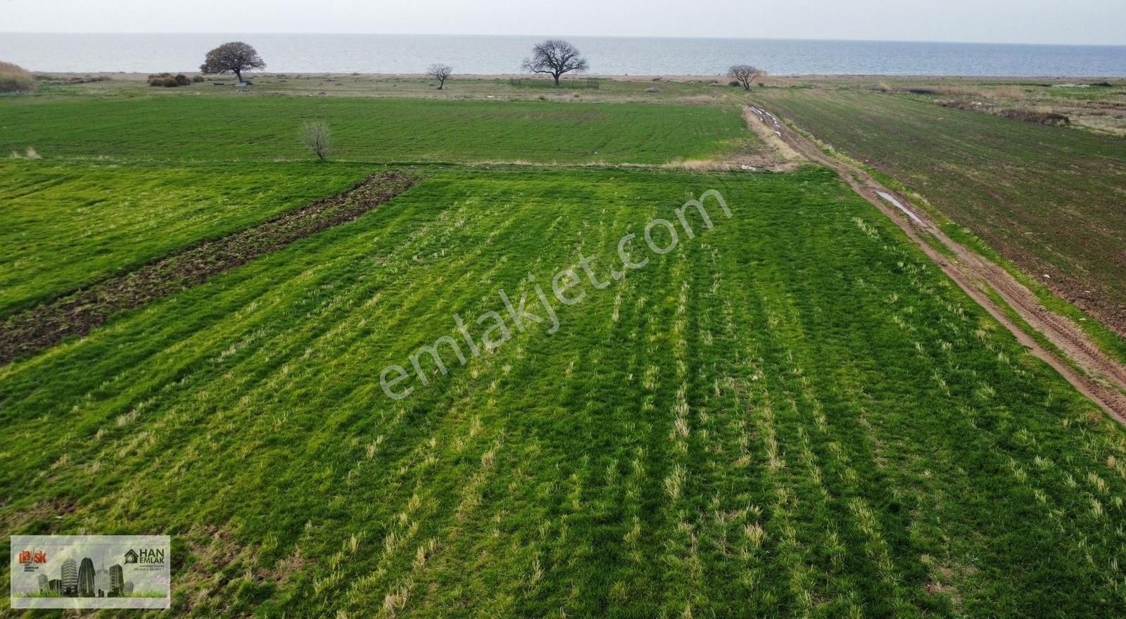 Ayvacık Kösederede Denize 170 Metre Uzaklıkta 2650 M2 Tarla - Görsel 5