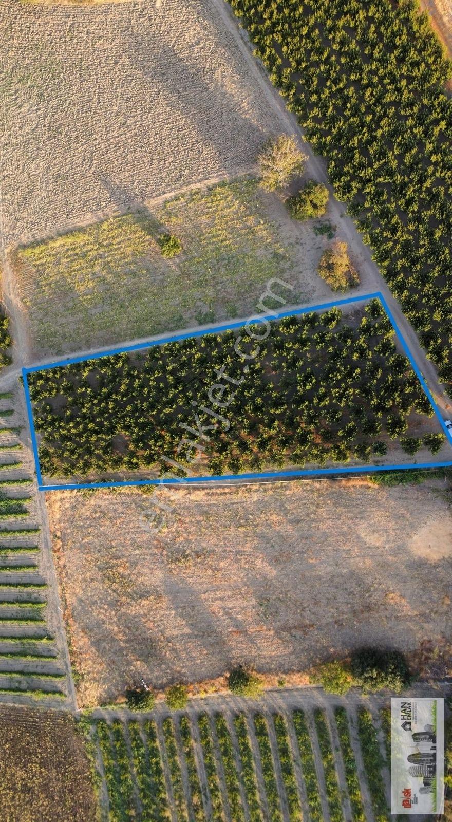Musaköy'de 3078 M2 Deniz Tarafında Şeftali Tarlası Han Emlaktan - Görsel 28