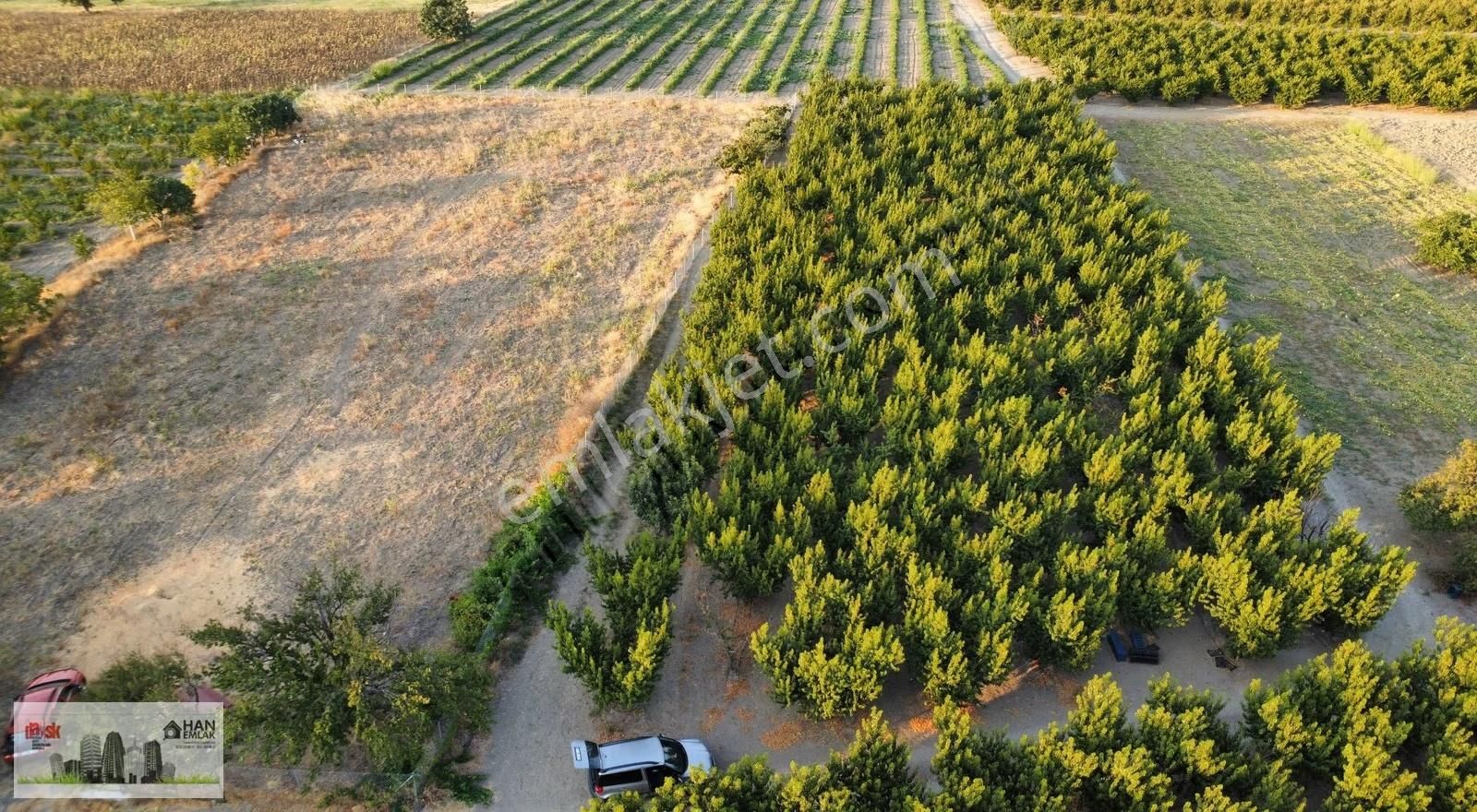 Musaköy'de 3078 M2 Deniz Tarafında Şeftali Tarlası Han Emlaktan - Görsel 18