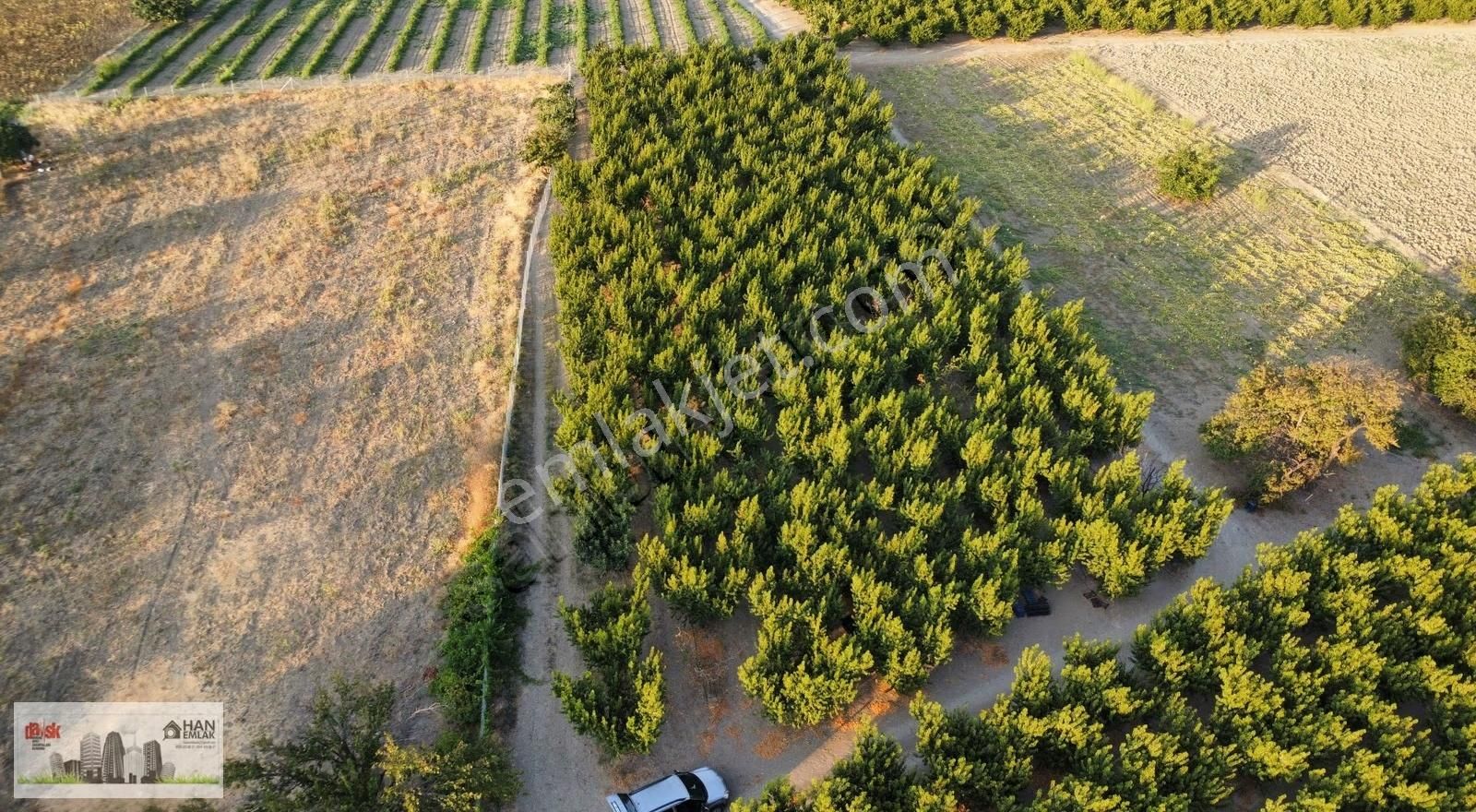 Musaköy'de 3078 M2 Deniz Tarafında Şeftali Tarlası Han Emlaktan - Görsel 17