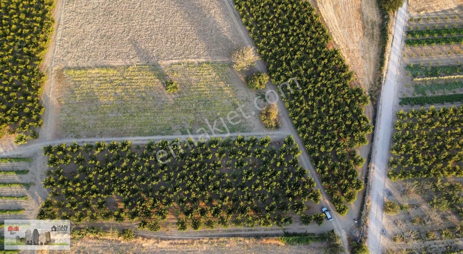 Musaköy'de 3078 M2 Deniz Tarafında Şeftali Tarlası Han Emlaktan - Görsel 29