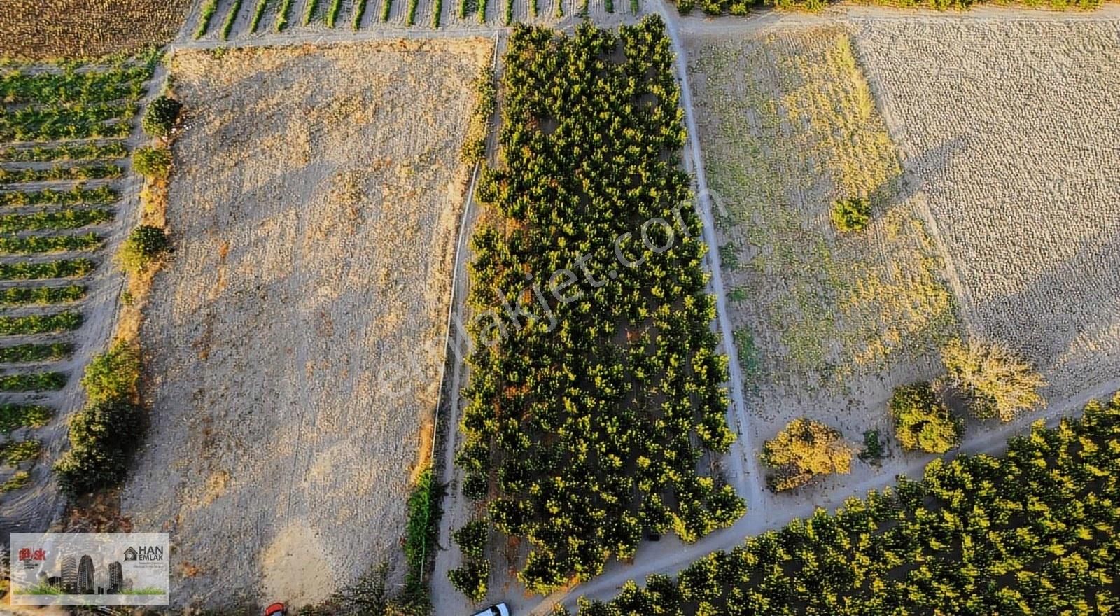 Musaköy'de 3078 M2 Deniz Tarafında Şeftali Tarlası Han Emlaktan - Görsel 15