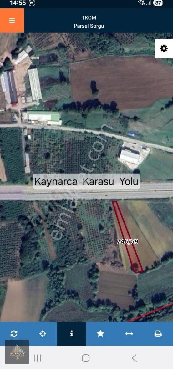 Sakarya Kaynarca Da Satılık 1.5 Dönüm Tarla - Görsel 3