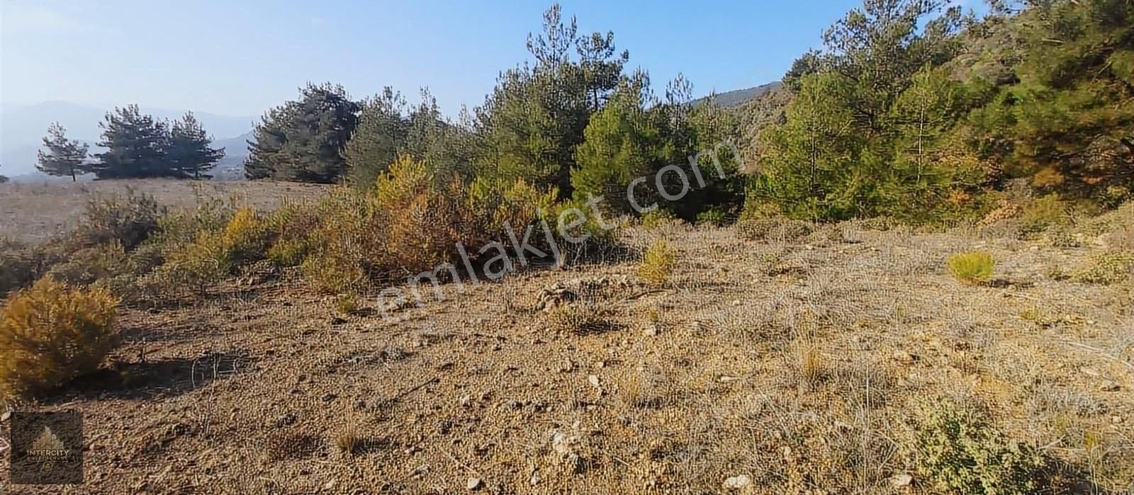 Sakarya Pamukova İsebalı Da Satılık Arsa - Görsel 8