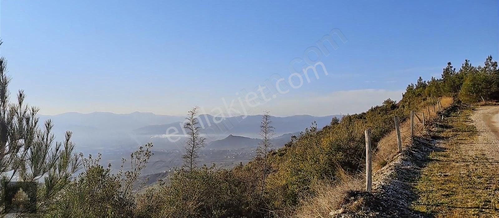 Sakarya Pamukova İsebalı Da Satılık Arsa - Görsel 13