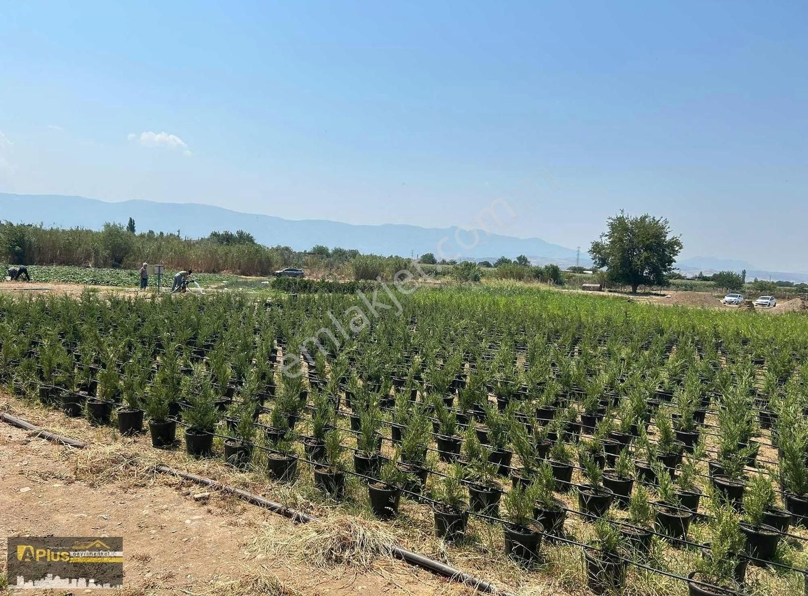Bayındır Yakacık Asfalta Cepheli Seracılığa Uygun Tarla - Görsel 19