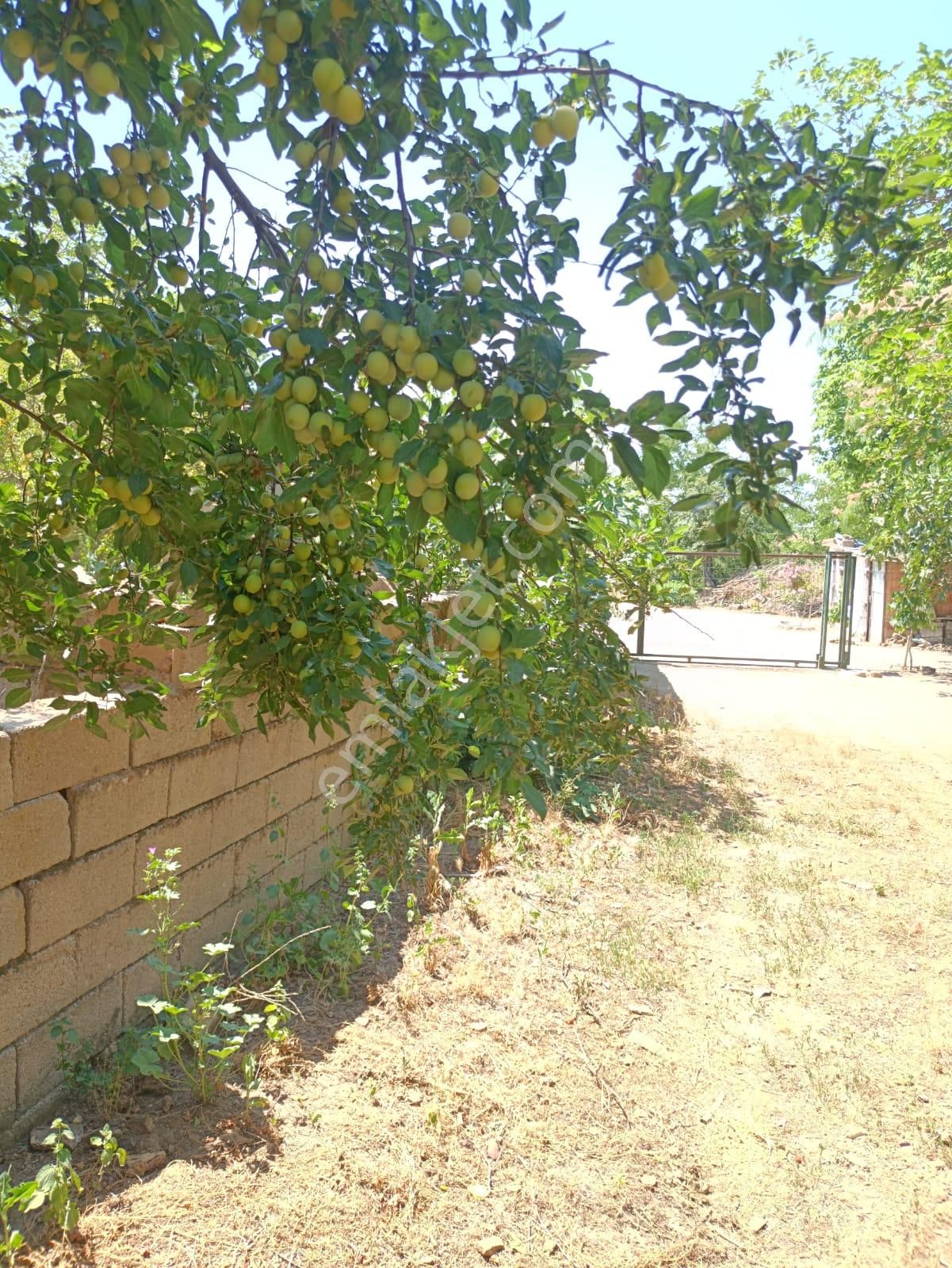 Satılık 3+1 Köy Evi + 1.364 M² Arsa — Edirne /meriç / Nasuhbey Köyü - Görsel 9