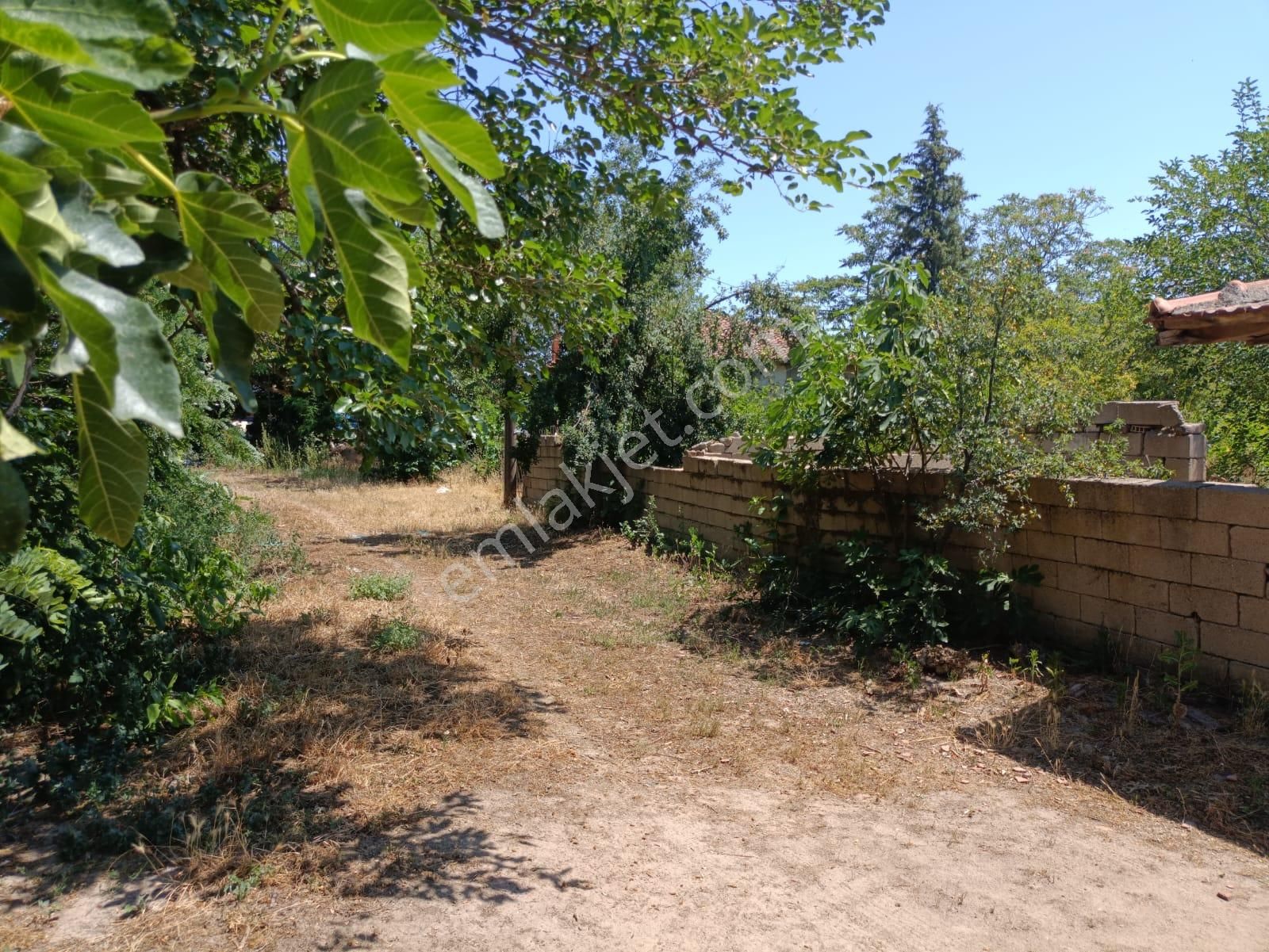 Satılık 3+1 Köy Evi + 1.364 M² Arsa — Edirne /meriç / Nasuhbey Köyü