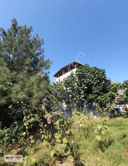 Haydar Emlaktan Akkentte Büyük Bahçeli,deniz Manz.tribleks Villa - Görsel 8