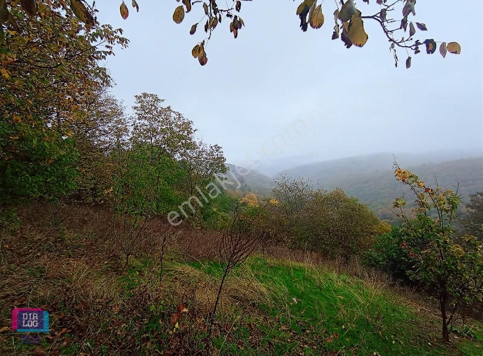 Dialog Skala'dan Kestel Lütfiye Köyünde Yerleşimin Yanında Tarla - Görsel 6