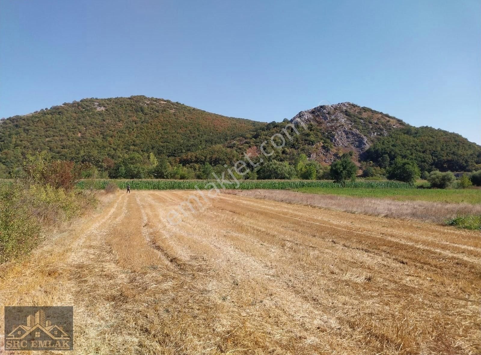 Src Emlaktan Bursa Yenişehir Burcun Mah. Hobi Bahçelik Tarla - Görsel 4
