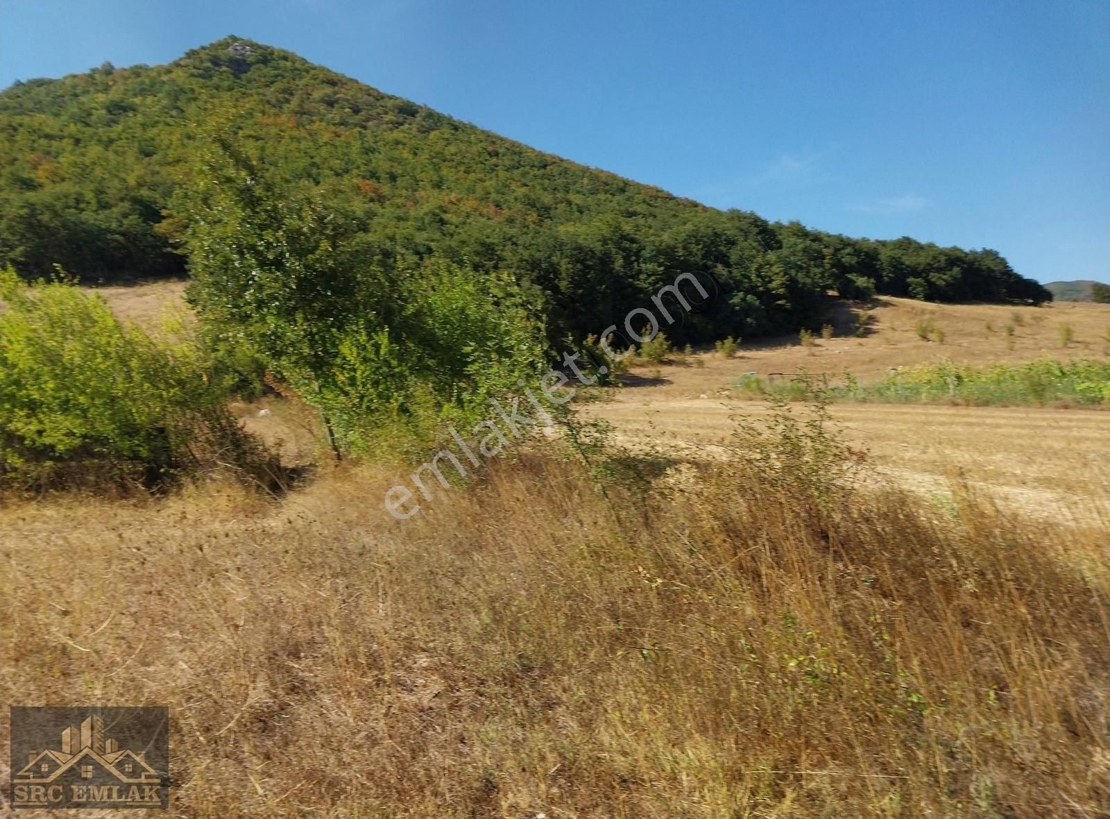 Src Emlaktan Bursa Yenişehir Burcun Mah. Hobi Bahçelik Tarla - Görsel 2