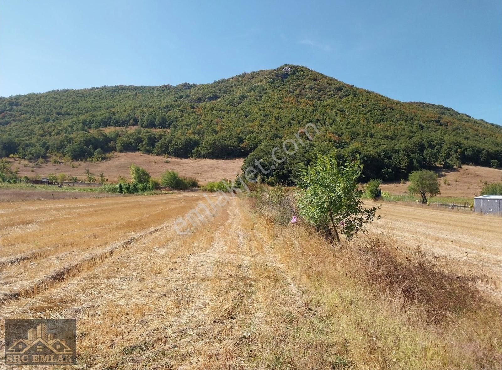 Src Emlaktan Bursa Yenişehir Burcun Mah. Hobi Bahçelik Tarla - Görsel 3