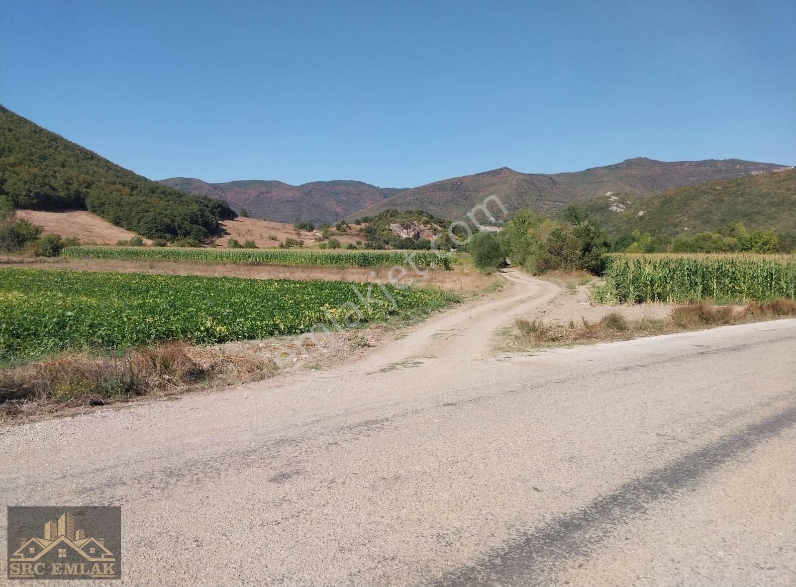 Src Emlaktan Bursa Yenişehir Burcun Mah. Hobi Bahçelik Tarla - Görsel 15