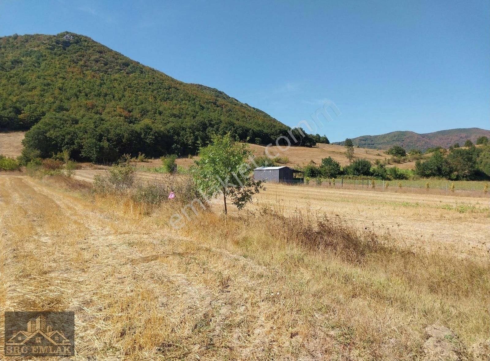 Src Emlaktan Bursa Yenişehir Burcun Mah. Hobi Bahçelik Tarla - Görsel 5