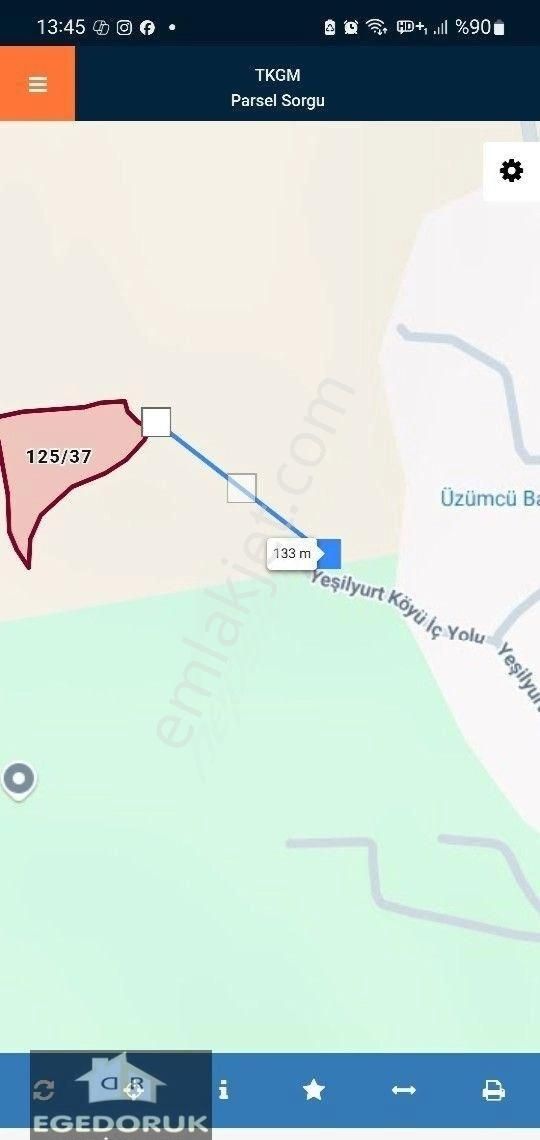 İzmir Kemalpaşa Yeşilyurt Köy Merkezine Yakın 4735 M² Zeytinli Bağ Ve Tarla - Görsel 5