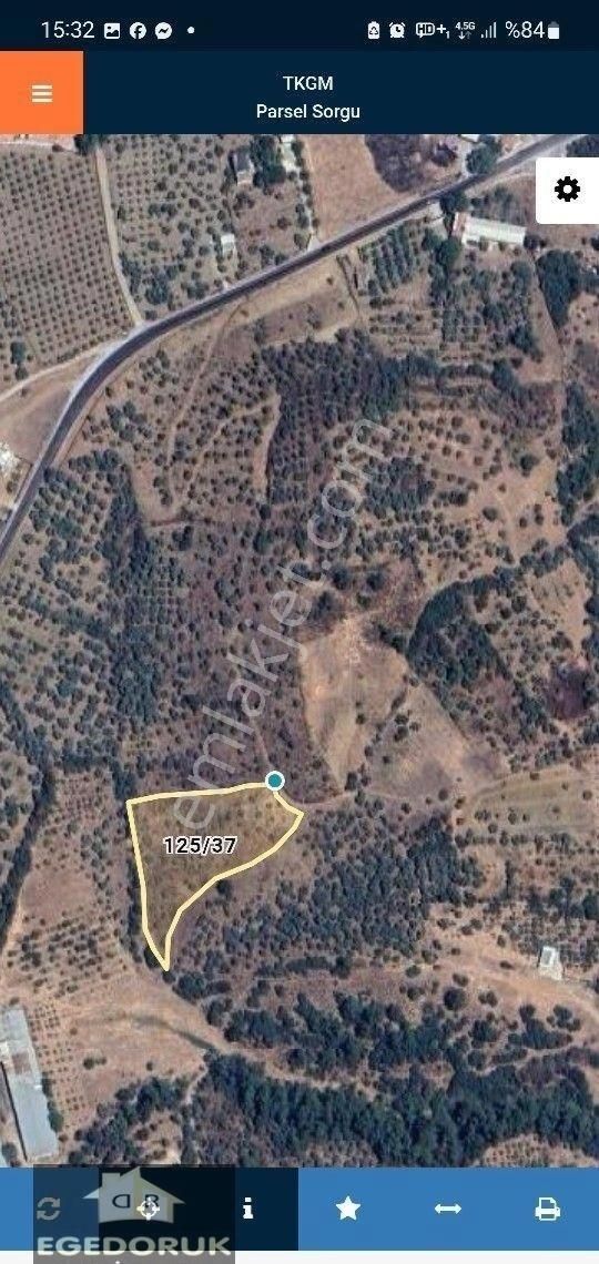 İzmir Kemalpaşa Yeşilyurt Köy Merkezine Yakın 4735 M² Zeytinli Bağ Ve Tarla - Görsel 29