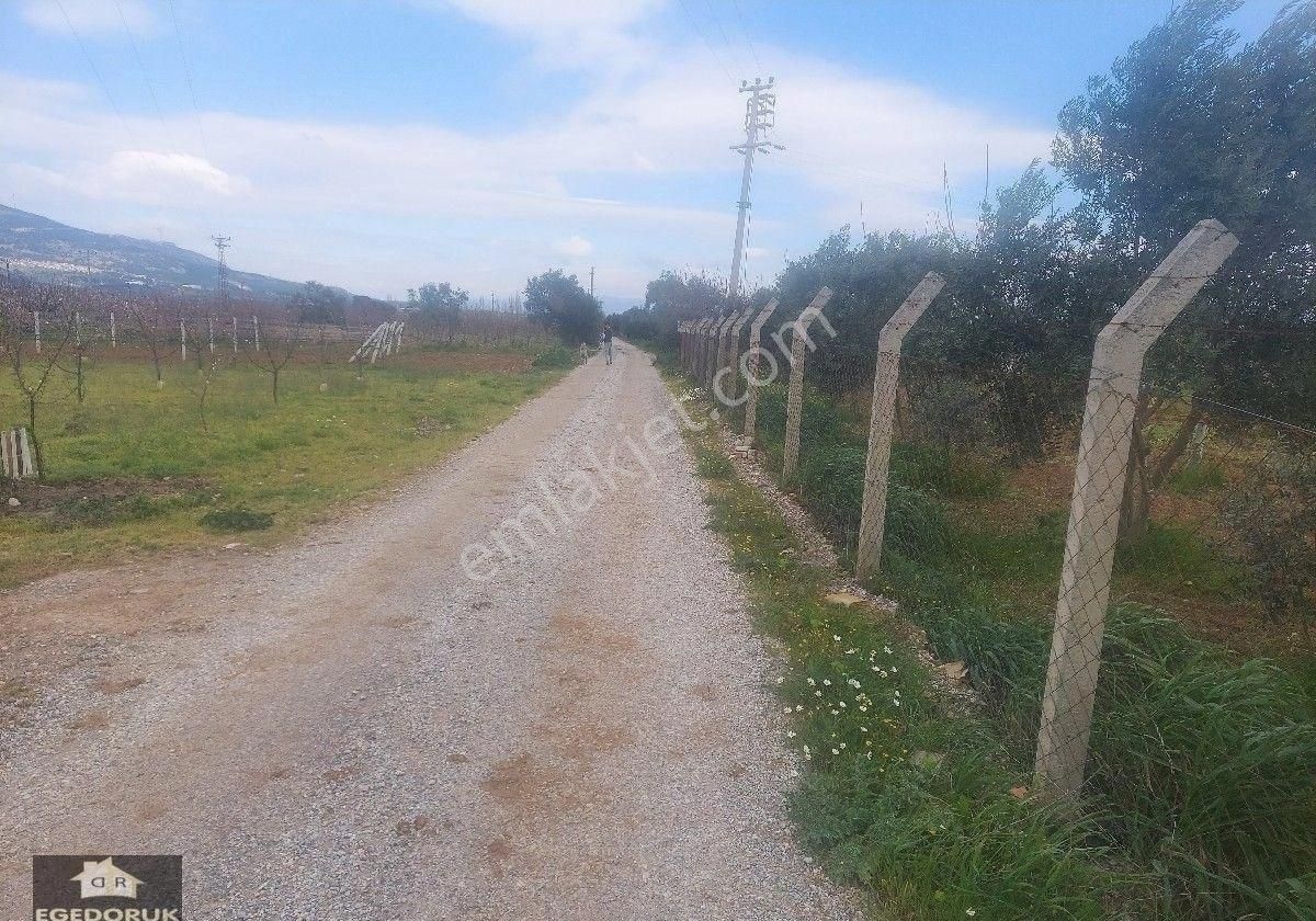 İzmir Kemalpaşa Yukarıkızılca Ovada Satılık Bahçe Ve Ev - Görsel 19