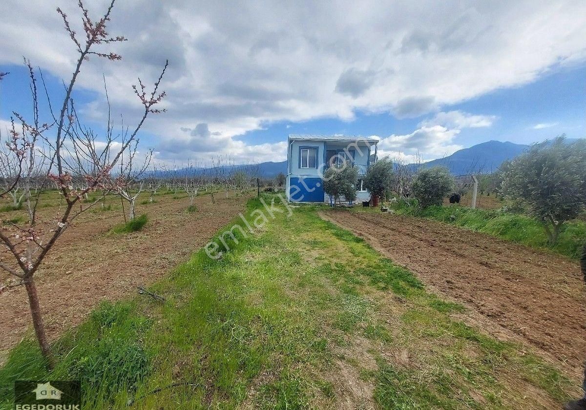 İzmir Kemalpaşa Yukarıkızılca Ovada Satılık Bahçe Ve Ev - Görsel 17