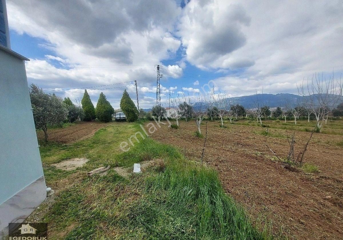 İzmir Kemalpaşa Yukarıkızılca Ovada Satılık Bahçe Ve Ev - Görsel 10