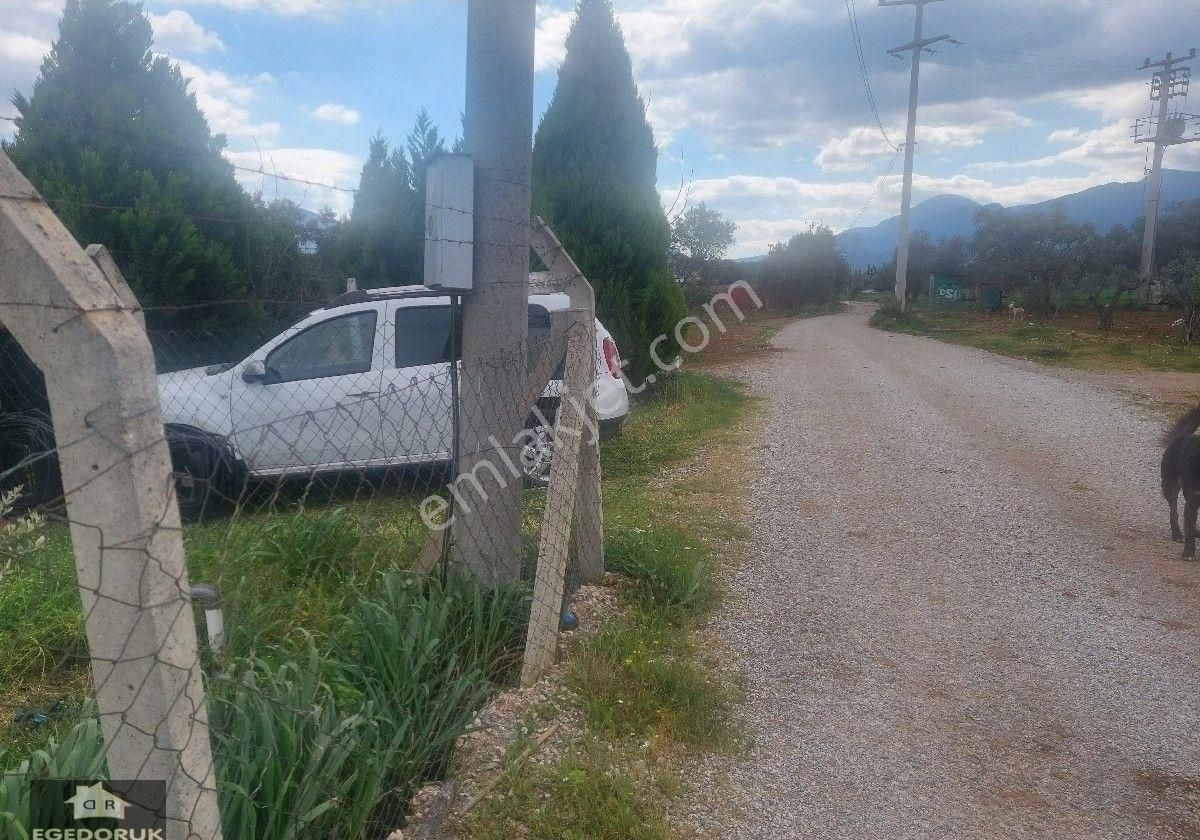 İzmir Kemalpaşa Yukarıkızılca Ovada Satılık Bahçe Ve Ev - Görsel 20