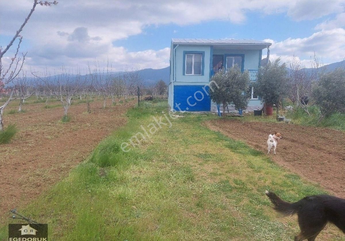 İzmir Kemalpaşa Yukarıkızılca Ovada Satılık Bahçe Ve Ev - Görsel 4