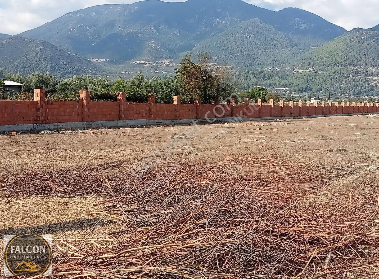 Falcon Dan Üzümlü De Mükemmel 7667m² Fırsat Tarla - Görsel 11