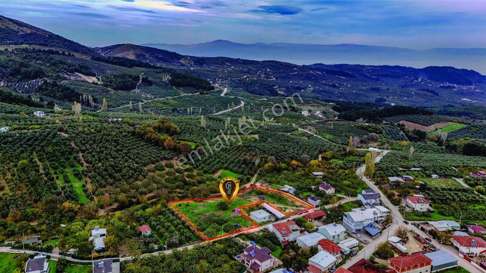 C21 Loca'dan Mudanya Çepni'de Satılık Kooperatif Hissesi - Görsel 6