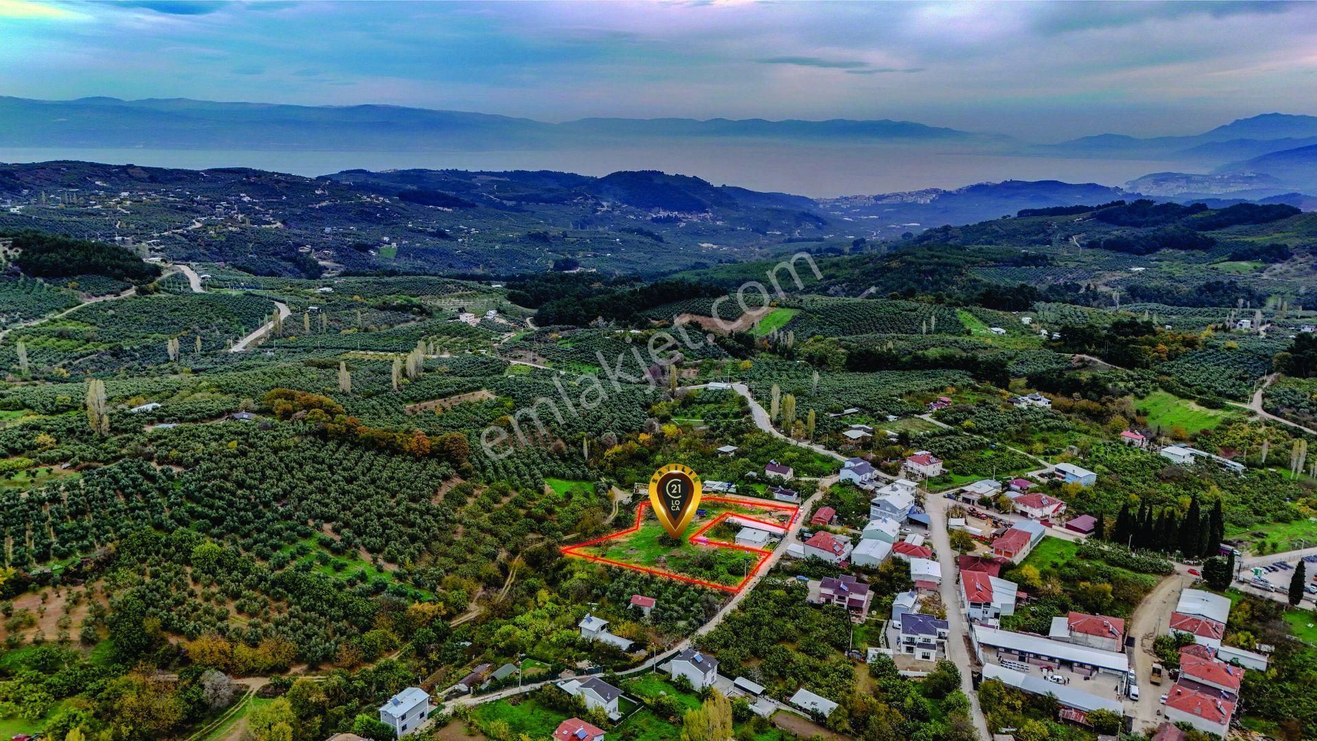 C21 Loca'dan Mudanya Çepni'de Satılık Kooperatif Hissesi - Görsel 4