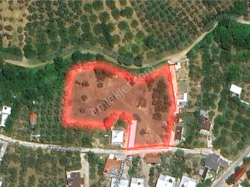 C21 Loca'dan Mudanya Çepni'de Satılık Kooperatif Hissesi - Görsel 10