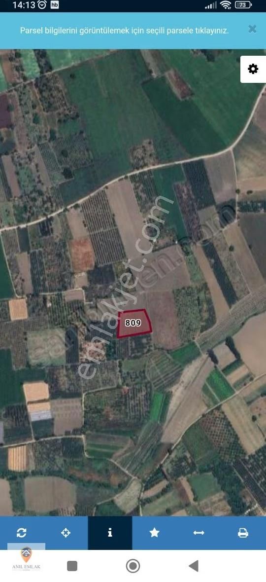 Anıl Emlaktan İnegöl Edebey De Satılık Meyve Bahçesi Tapulu Arsa - Görsel 4