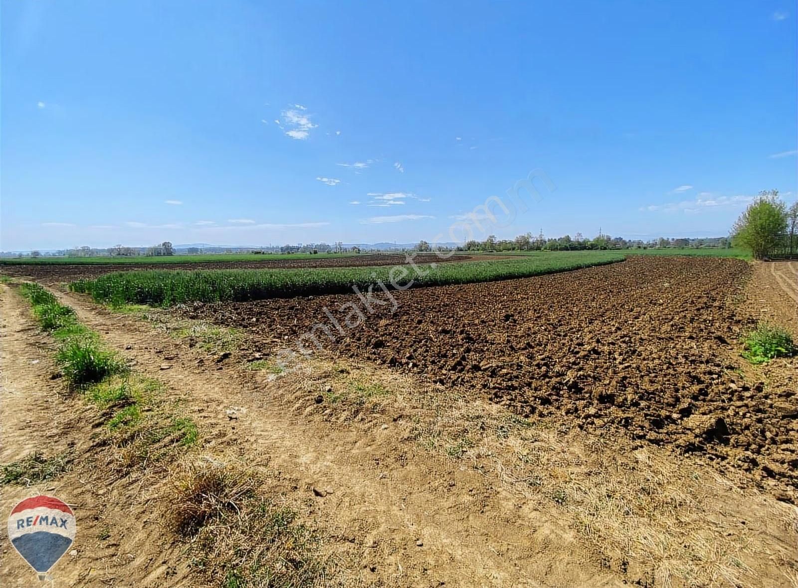 Adapazarı Karadere Mahallesinde 3.137 M2 Yatırıma Uygun Tarla - Görsel 11