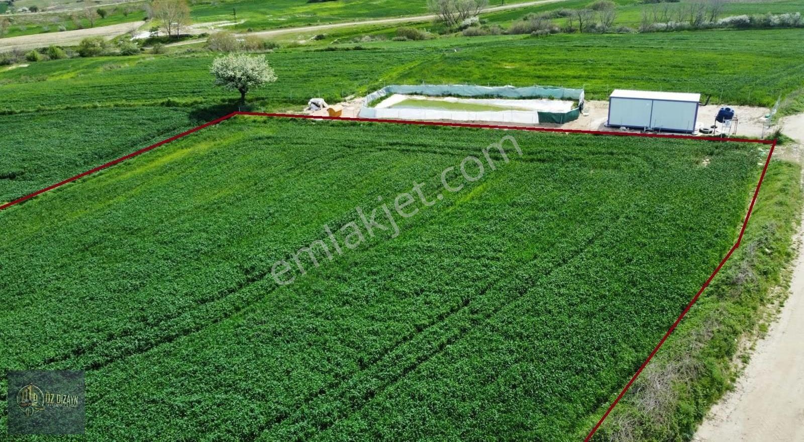 Edirne İpsala Esetçe Atatürk Mahallesinde 264 M2 Yatırıma Uygun - Görsel 2