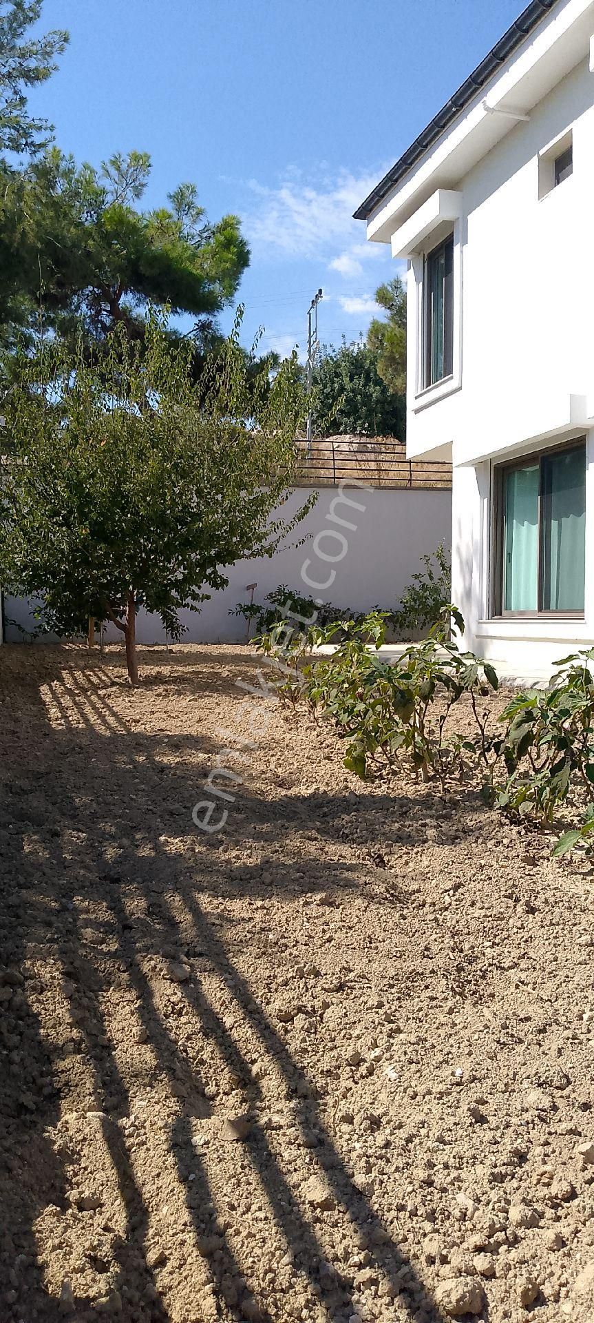 **topalakta Göl Manzaralı - Görsel 28