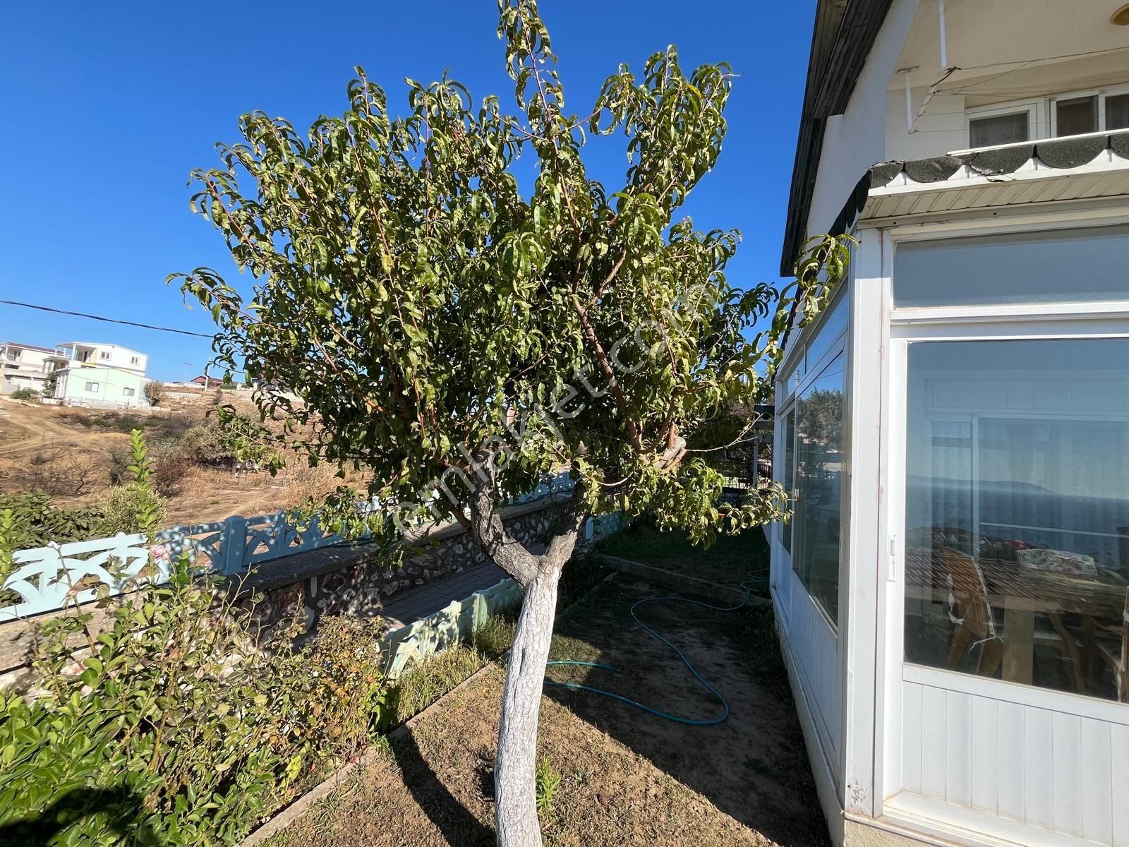 Seferihisar Ümürbeldesinde Satılık 4 +1 Villa Deniz Manzaralı - Görsel 6