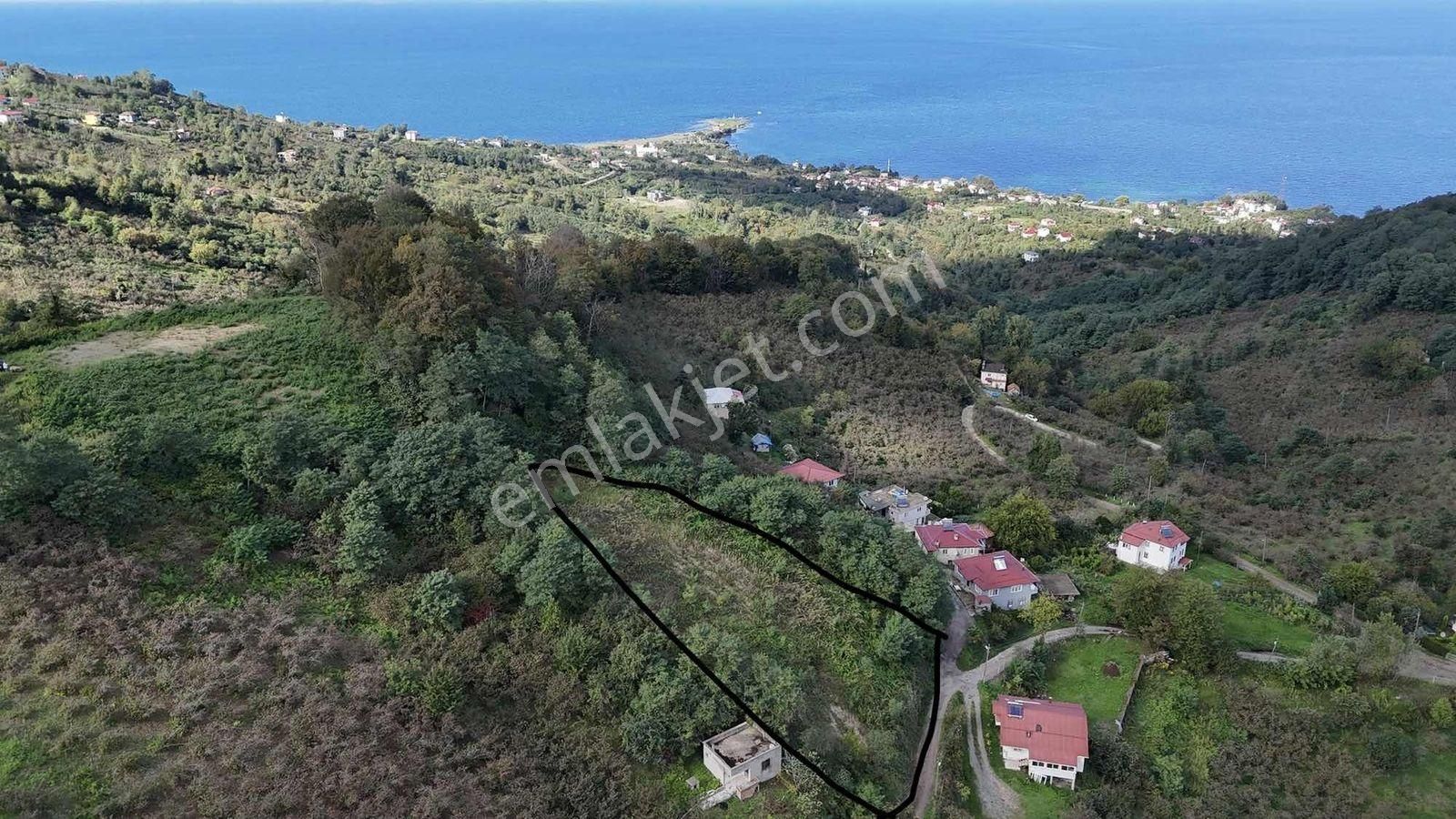 Çaytepe-hoynat Adası Manzaralı 2.022m2 Müstakil Tapu - Görsel 6